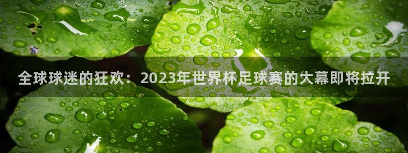 欧洲世预赛赛程表：全球球迷的狂欢：2023年世界杯足球赛的大幕即将拉开