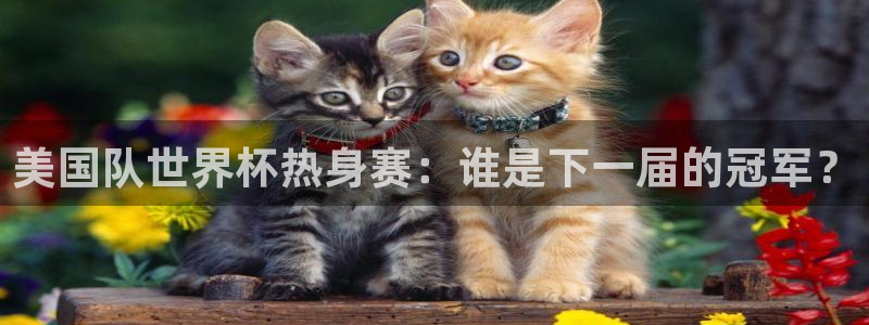 2026年世界杯：美国队世界杯热身赛：谁是下一届的冠军？