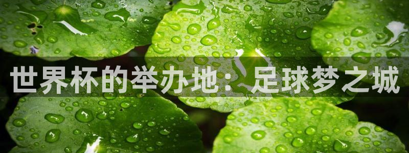 世界杯预选赛欧洲区赛程：世界杯的举办地：足球梦之城