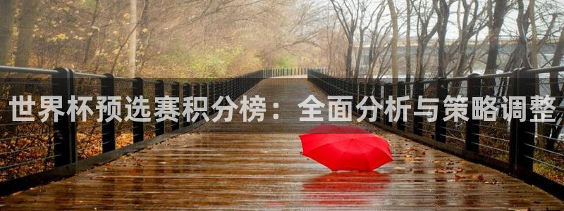 2026年世界杯赛程：世界杯预选赛积分榜：全面分析与策略调整