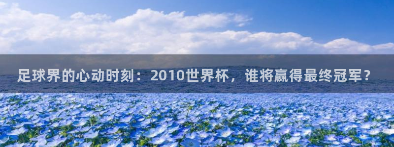 世界杯16强赛程表：足球界的心动时刻：2010世界杯，谁将赢得最终冠军？