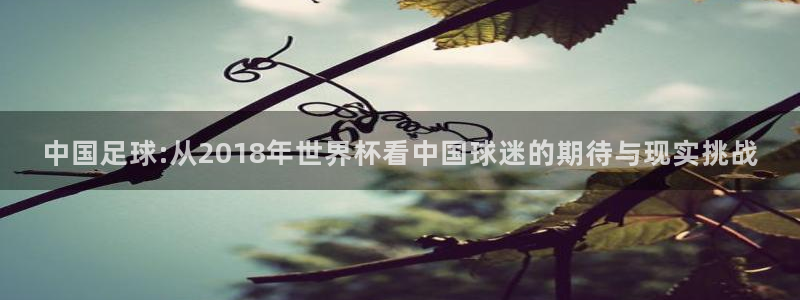 2026世界杯直播免费观看：中国足球:从2018年世界杯看中国球迷的期待与现实挑战