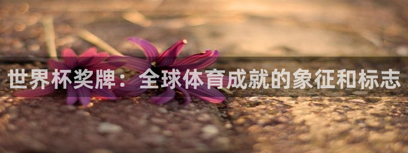 2026世预赛赛程表：世界杯奖牌：全球体育成就的象征和标志
