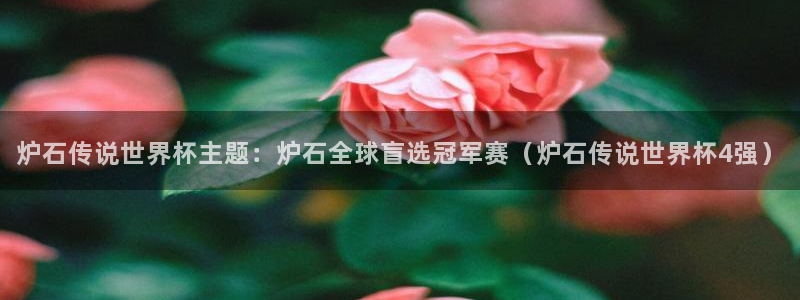 世界杯预选赛亚洲：炉石传说世界杯主题：炉石全球盲选冠军赛（炉石传说世界杯4强）