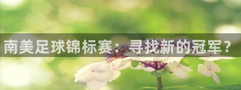 世界杯直播时间：南美足球锦标赛：寻找新的冠军？
