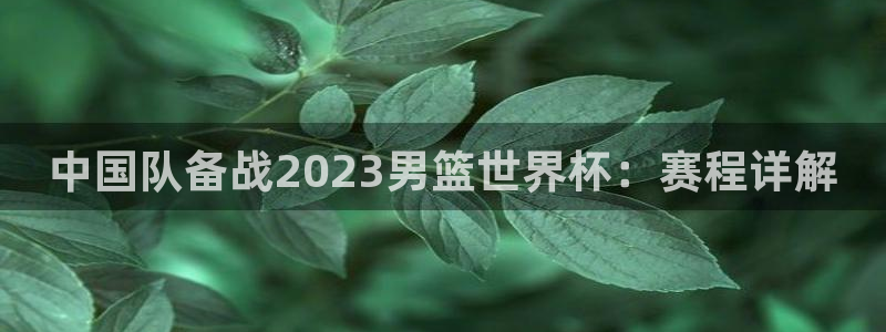2026世界杯32强对阵图表：中国队备战2023男篮世界杯：赛程详解