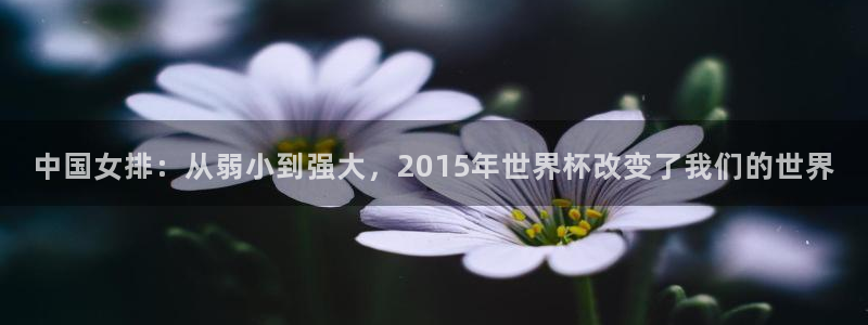 世界杯欧洲预选赛：中国女排：从弱小到强大，2015年世界杯改变了我们的世界