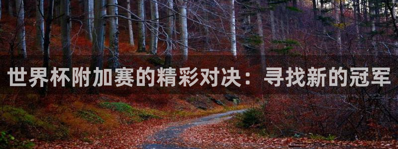 世界杯在线直播：世界杯附加赛的精彩对决：寻找新的冠军