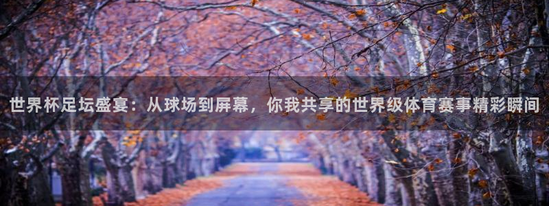 亚洲杯足球：世界杯足坛盛宴：从球场到屏幕，你我共享的世界级体育赛事精彩瞬间