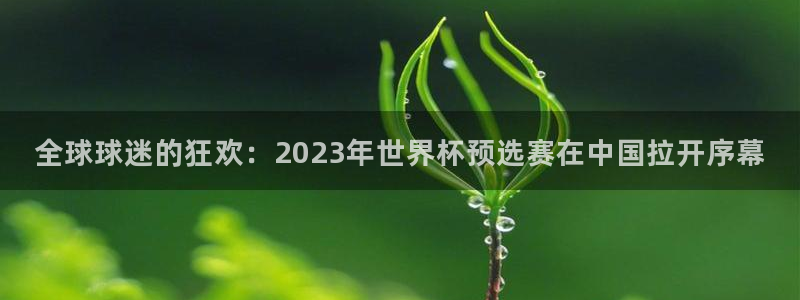 世界杯直播：全球球迷的狂欢：2023年世界杯预选赛在中国拉开序幕