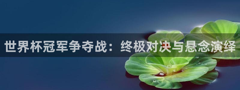看世界杯：世界杯冠军争夺战：终极对决与悬念演绎
