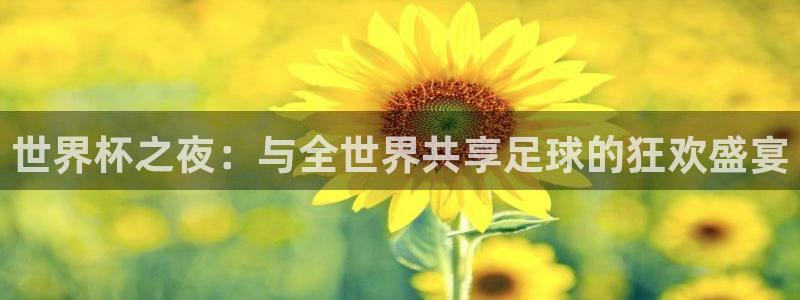 世界杯预选赛赛程表：世界杯之夜：与全世界共享足球的狂欢盛宴