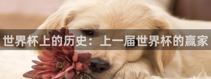 2026 世界杯：世界杯上的历史：上一届世界杯的赢家
