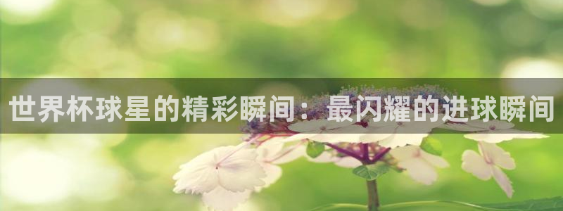 世界杯预选赛欧洲赛区赛程：世界杯球星的精彩瞬间：最闪耀的进球瞬间