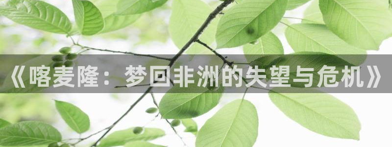 世界杯16强赛程表：《喀麦隆：梦回非洲的失望与危机》