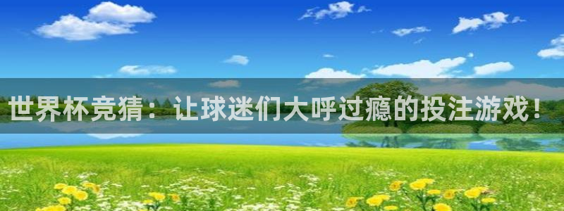 世界杯预赛赛程：世界杯竞猜：让球迷们大呼过瘾的投注游戏！